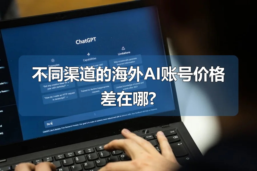不同渠道的海外AI账号价格差在哪?